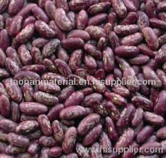 Purple speckled kidney beans (2011 Crop)