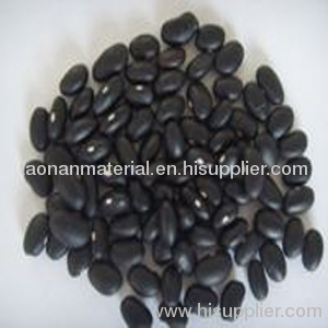 Black kidney beans (2010 Crop)