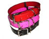 martingale dog collars