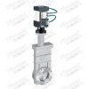 Pneumatic High Vacuum Gate Valve