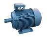 Y2 series three-phase induction motor