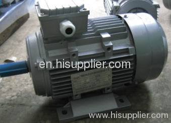 MS series electric motor