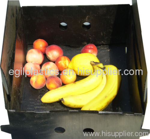 Fruit and Vegetable Packaging Box