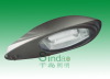 induction lamp & street light