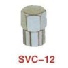 Valve Cap