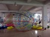 zorb water ball