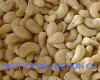 Vietnam cashew nut