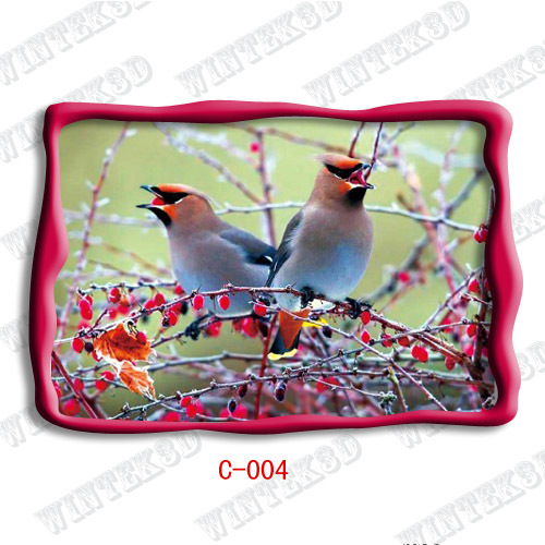 bird picture post card