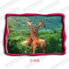 3d animal picture postcard