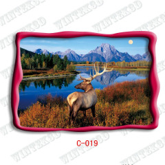 3d deer picture post card