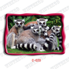 3d animal picture post card