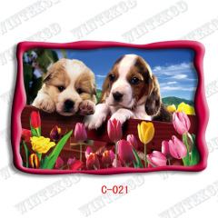 3d dog picture post card