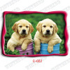 3d dog picture postcards