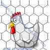 hexagonal wire mesh, chicken wire mesh, hexagonal netting, fish netting