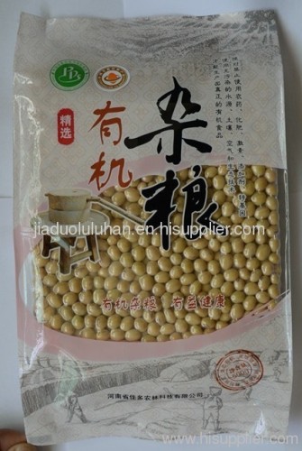 soybean