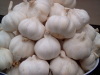 white garlic