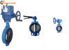 lectric manual geal Butterfly Valves