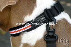 polyester pet leash/collar