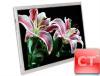 15.6&quot; China Brand New Good Quality Notebook LED Screen B156HW01 V.0