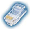 RJ45 modular plug