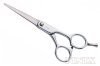 Professional Zinc-Alloy Handles Hairdressing Shears