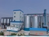 Grain steel silo with conveyor