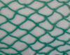 green nylon net