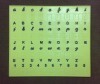 Plastic English Alphabet Trainer Plate, With braille sign, tactile