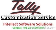 Tally Customization Service