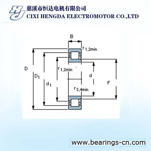 CHINA NU TYPE ROLLER BEARING