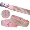 PU Dog Collar