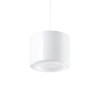 20W Pendant Light