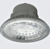 Outdoor 100W LED Flood lighting