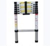 Telescopic Aluminium Ladder