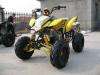 EEC 250cc racing ATV