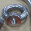 DIN582 stainless steel eye nut