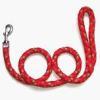 Nylon Dog Leash