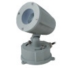 Outdoor 3W Spot LED Flood lighting