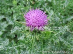 Milk Thistle extract Silymarin 80%