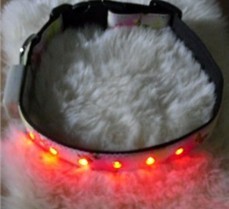 LED Dog Collar