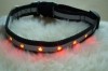 LED Dog Collar