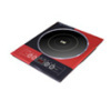 INDUCTION COOKER