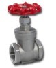 MGV001 Gate valve