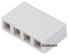 4 port surface mount box