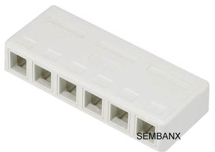 6 port surface mount box