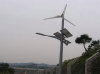 600W Wind / Solar Hybird Streetlights