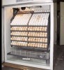 chicken egg incubator