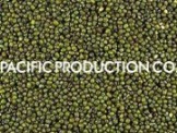 Vietnam Green mung bean