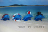 Resin Dolphin Fridge Magnet