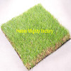 Look this is the most beautiful landscaping grass